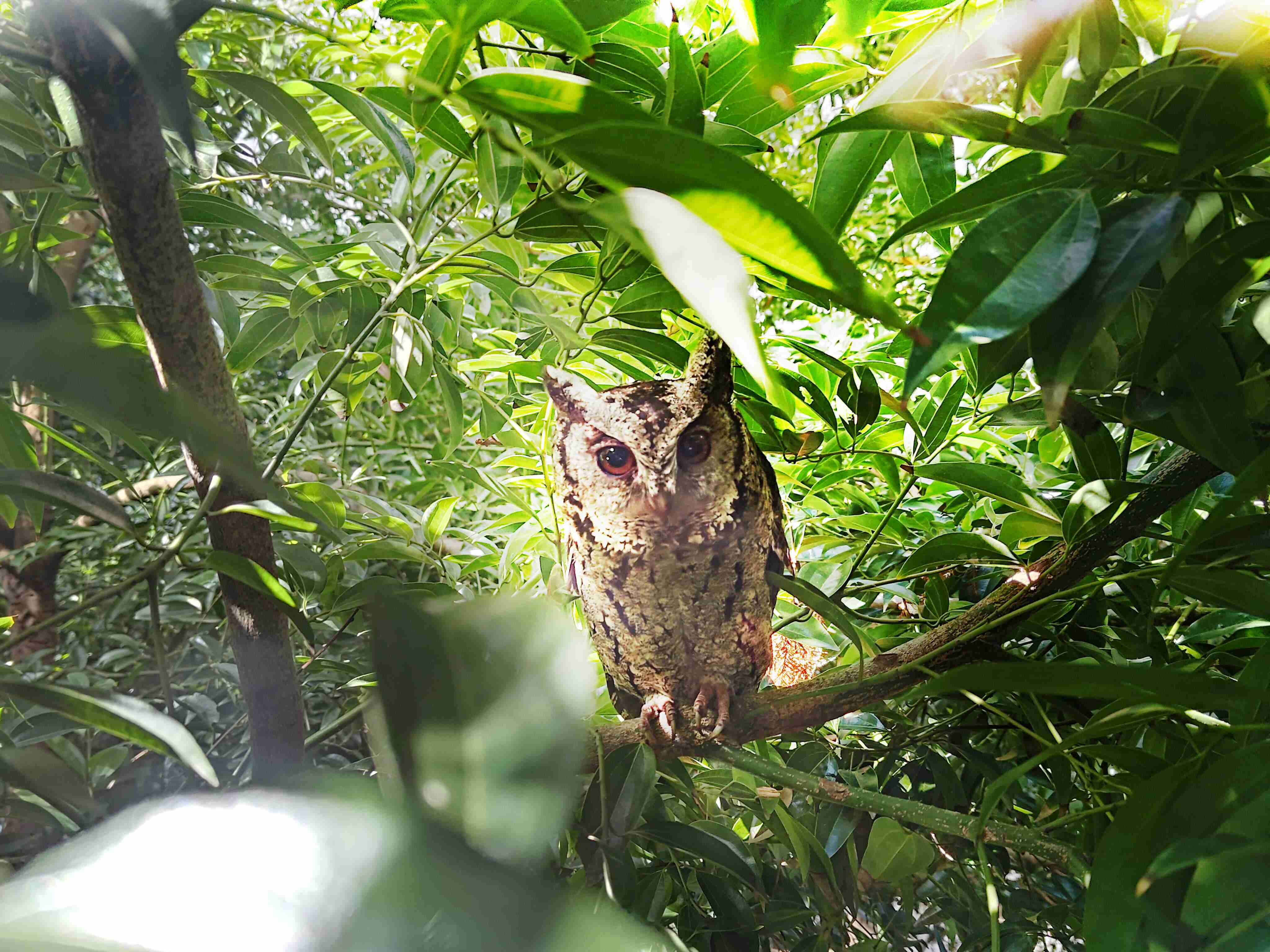 尊龙集团致力提倡净零绿生活，，，，16年以来在全球各厂区植树逾百万棵，，，，造就各厂区树木蔚然成林，，犹如森林工厂，，，成为许多生物的栖息地